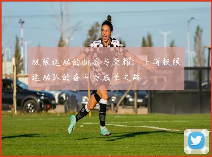极限运动的挑战与荣耀：上海极限运动队的奋斗与成长之路