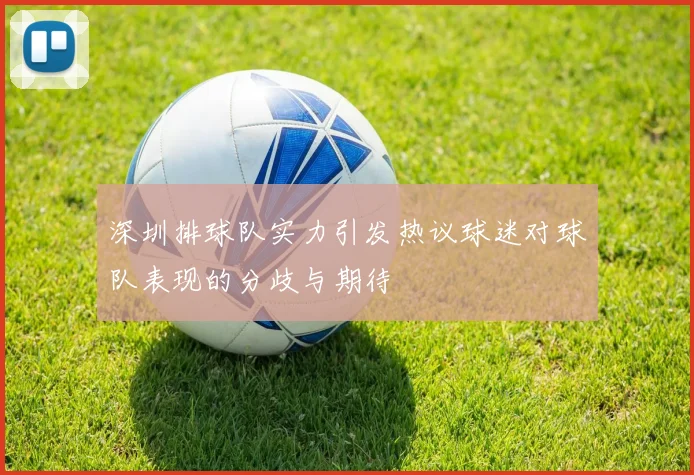 深圳排球队实力引发热议球迷对球队表现的分歧与期待
